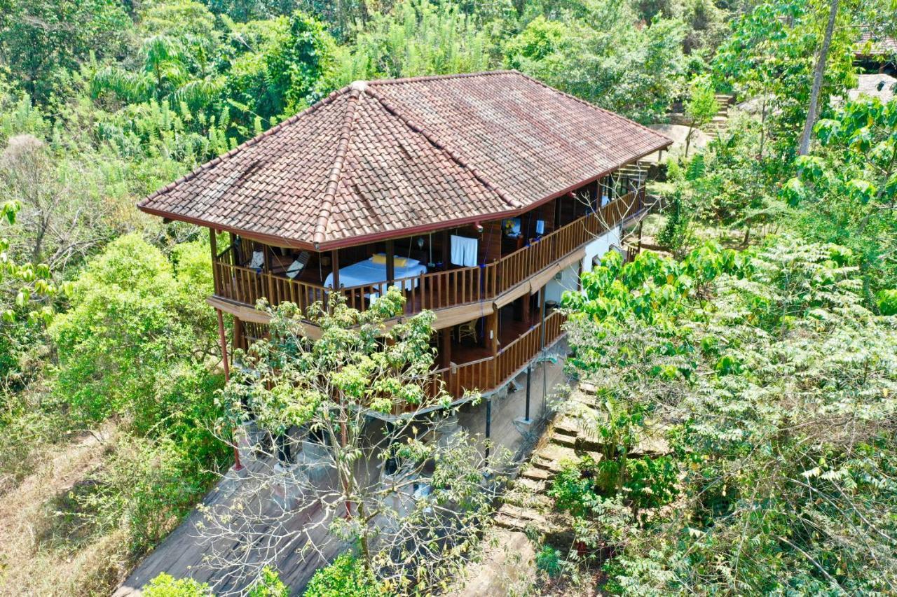 Wanakaset Forest Glamping キトゥルガラ エクステリア 写真