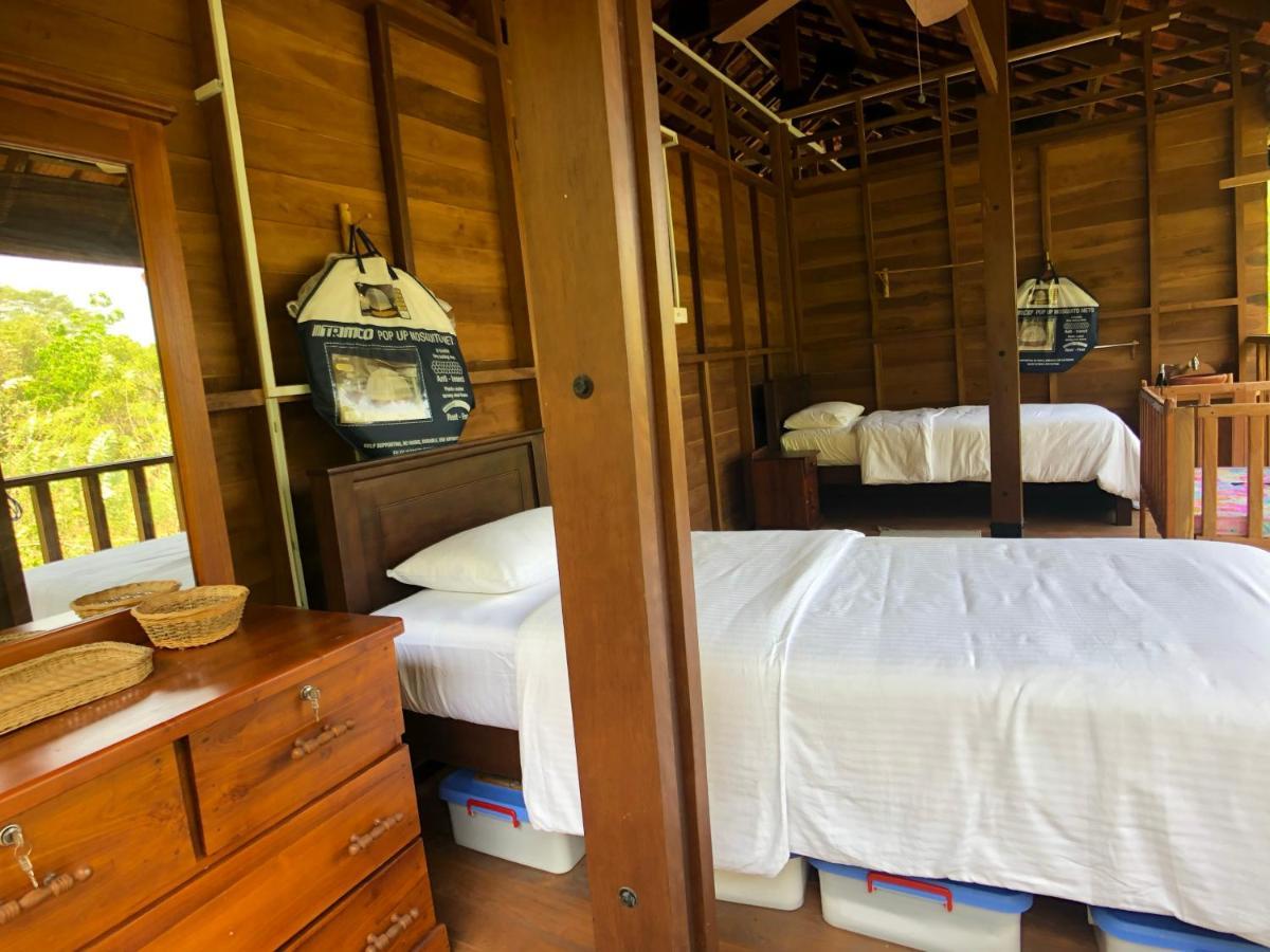 Wanakaset Forest Glamping キトゥルガラ エクステリア 写真