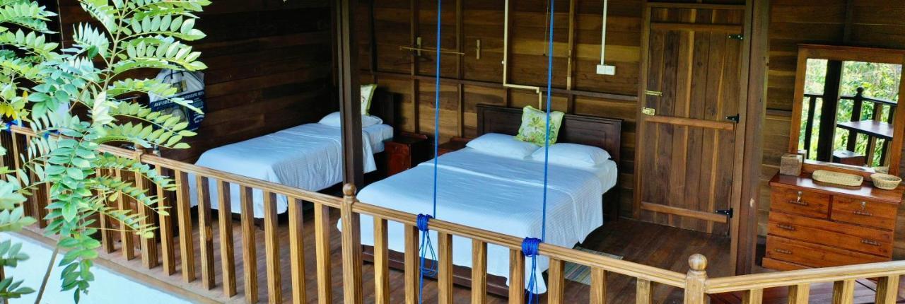 Wanakaset Forest Glamping キトゥルガラ エクステリア 写真