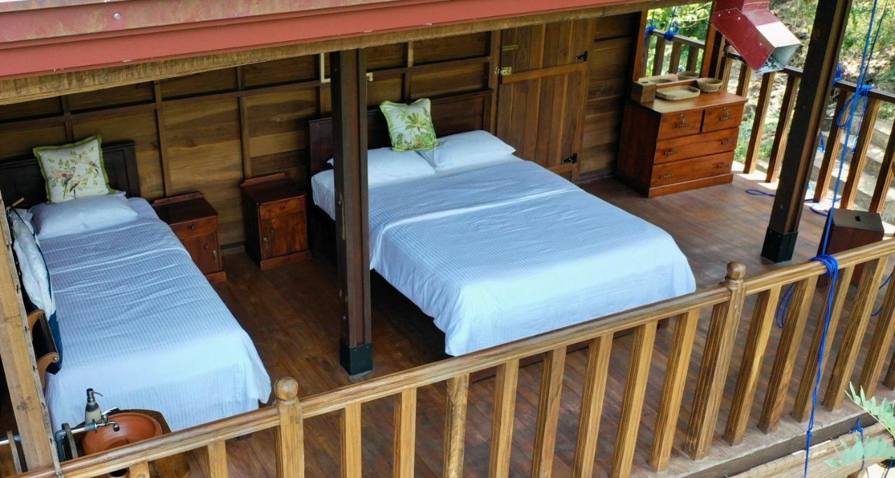 Wanakaset Forest Glamping キトゥルガラ エクステリア 写真