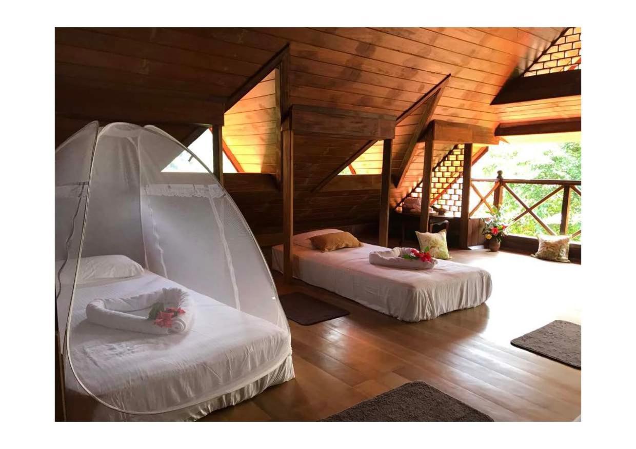 Wanakaset Forest Glamping キトゥルガラ エクステリア 写真