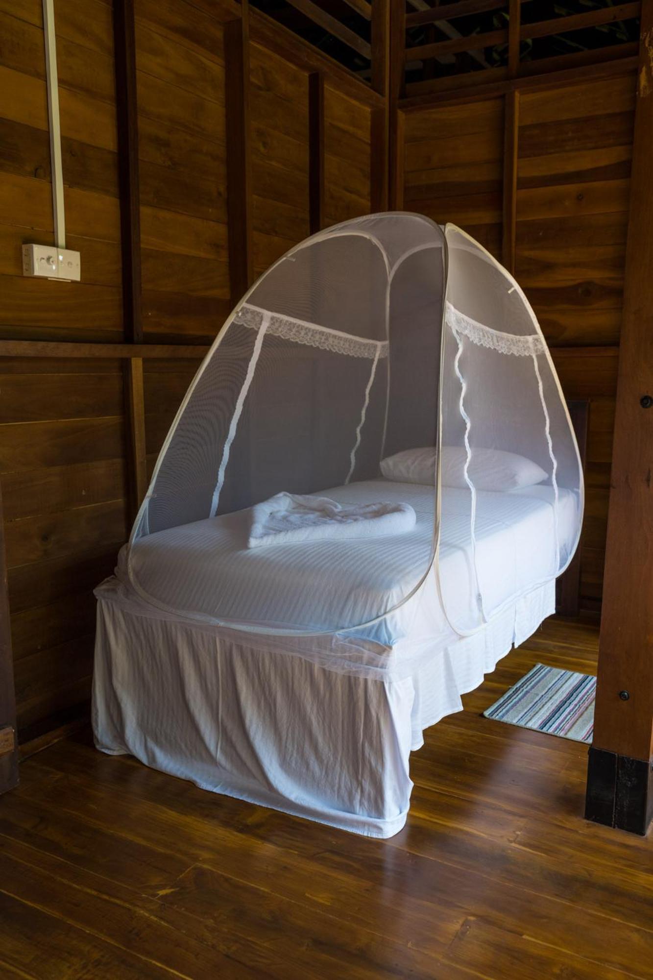 Wanakaset Forest Glamping キトゥルガラ エクステリア 写真