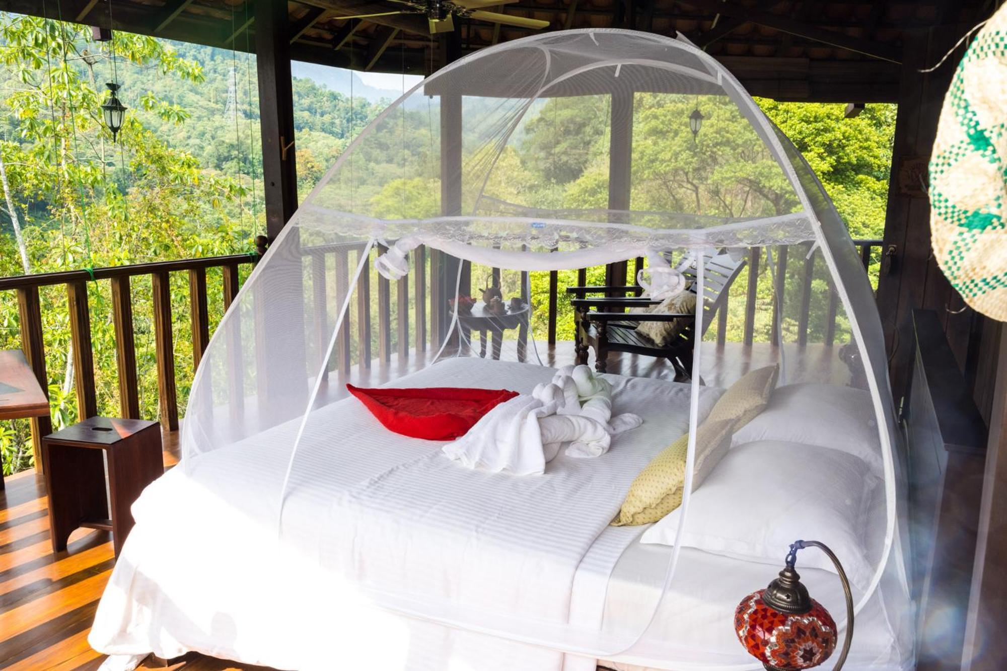 Wanakaset Forest Glamping キトゥルガラ エクステリア 写真