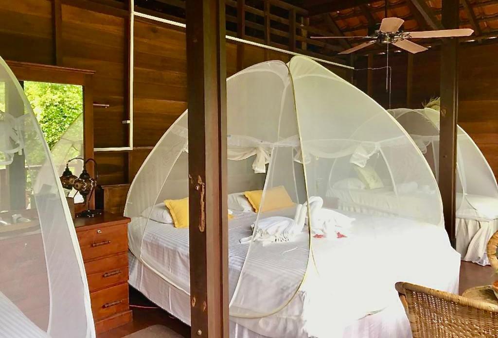 Wanakaset Forest Glamping キトゥルガラ エクステリア 写真