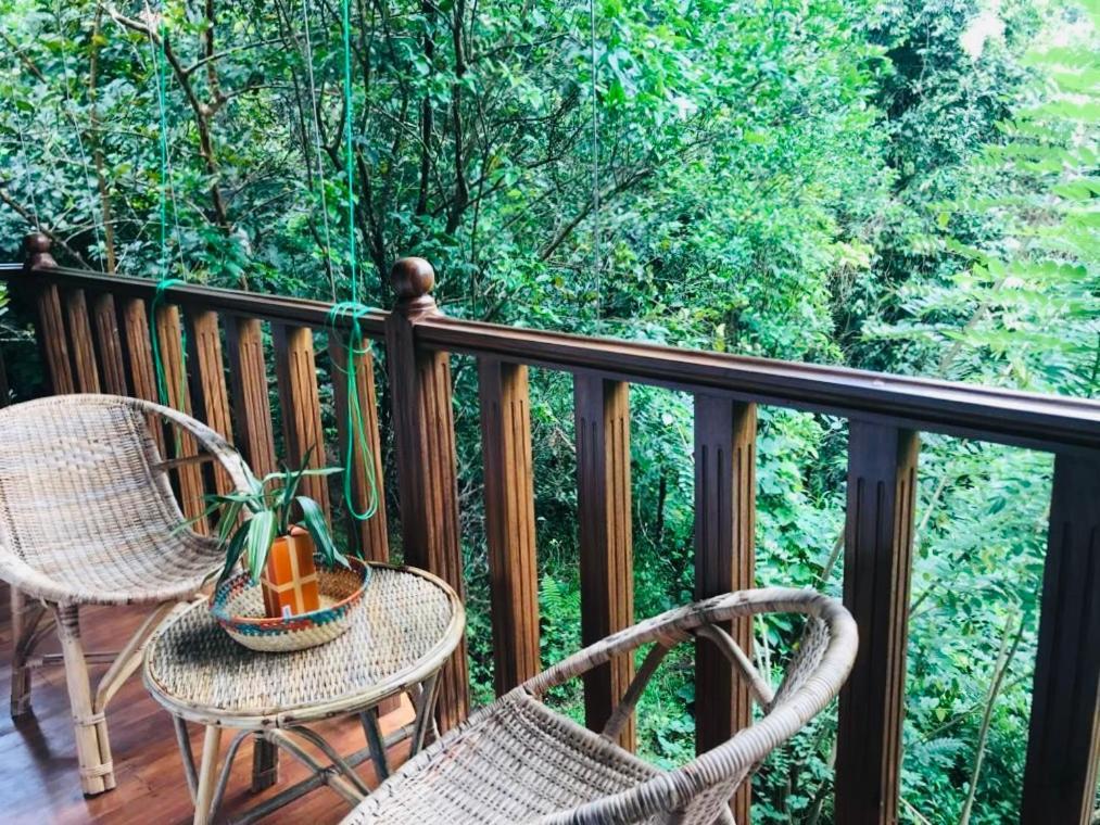Wanakaset Forest Glamping キトゥルガラ エクステリア 写真