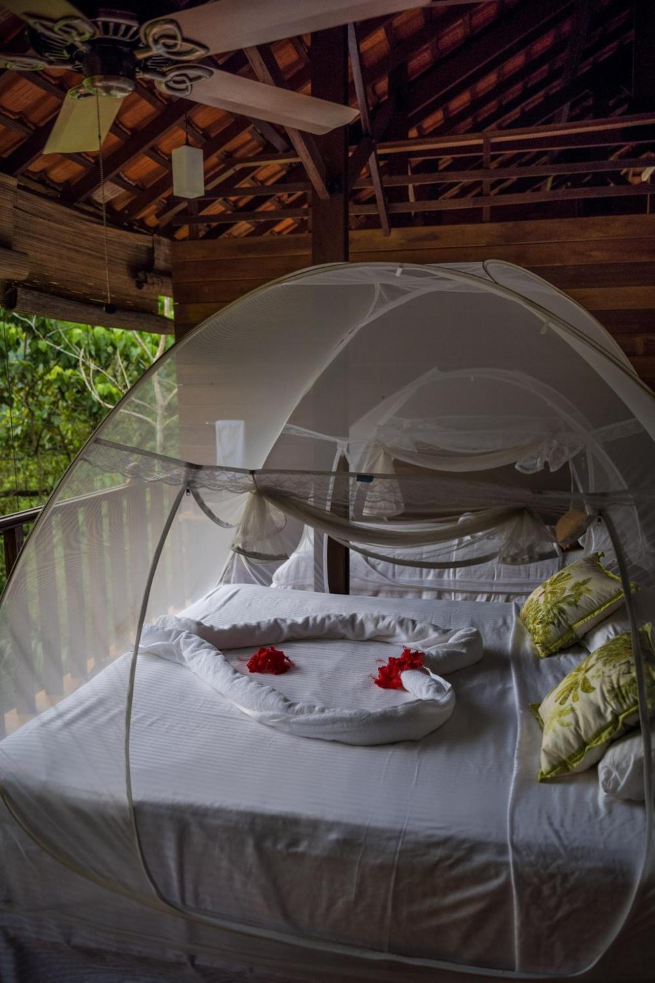 Wanakaset Forest Glamping キトゥルガラ エクステリア 写真