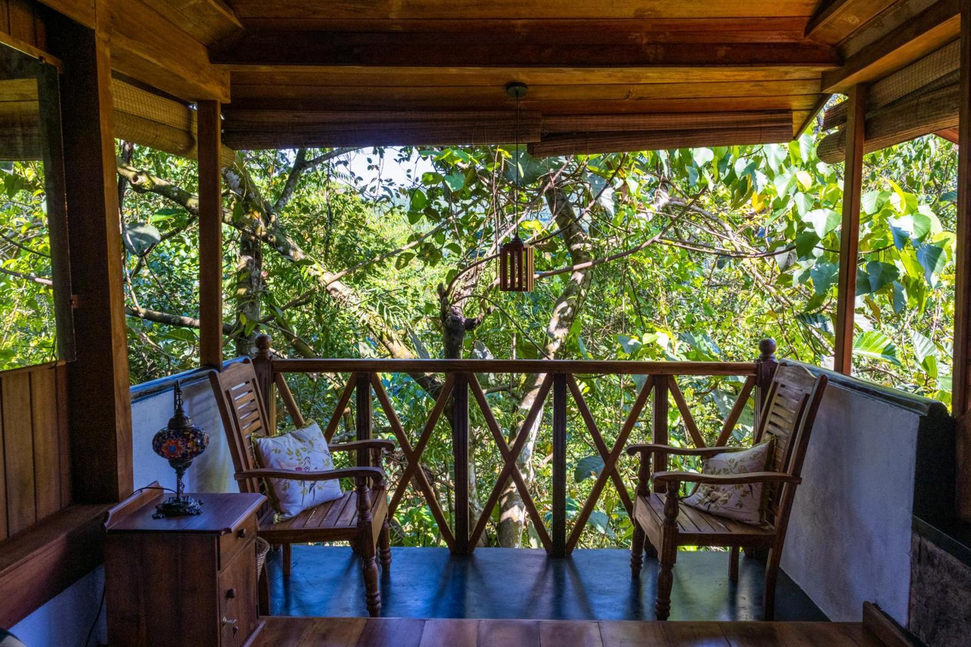 Wanakaset Forest Glamping キトゥルガラ エクステリア 写真
